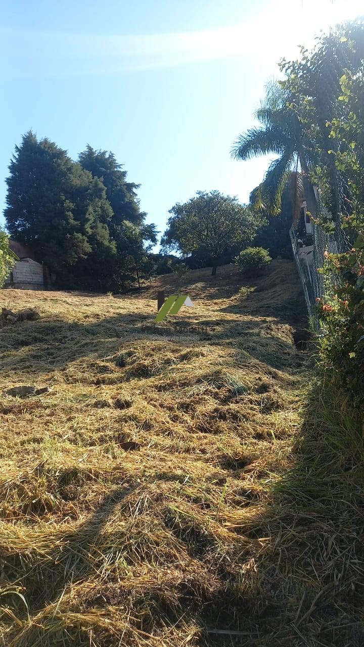 Terreno à venda, 1300m² - Foto 6